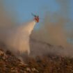 Griechenland: Mega-Feuer vor den Toren Athens