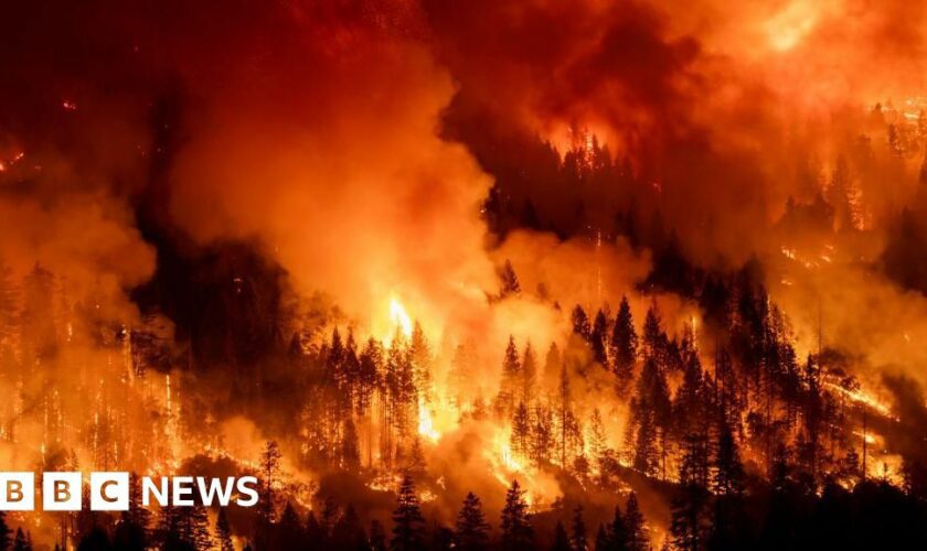 He lost two homes to California fires in six years. Now what?