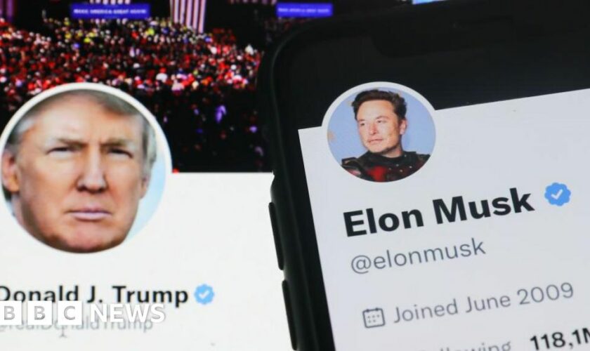 How Musk and Trump put aside their differences