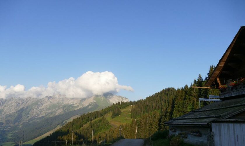 «Ici, c'est une terre de sportifs» : entre traite de vaches et production de reblochons, un chalet d'alpage au diapason des JO