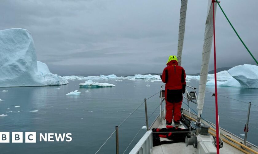 'In the midnight sun, slaloming through icebergs' - brothers on perilous Arctic voyage