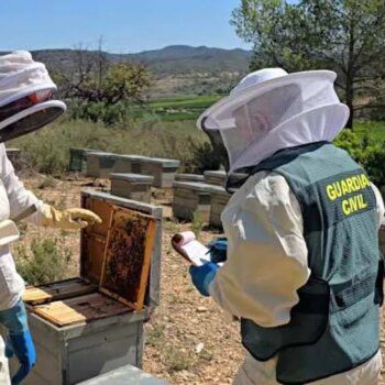 La Guardia Civil investiga a 11 personas por comercializar más de 40 toneladas de miel ecológica contaminada de China