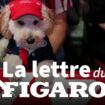 La lettre du Figaro du 27 août 2024