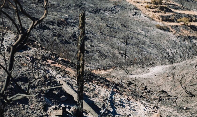 Le feu en Grèce « n’a plus l’intensité des derniers jours » : les images du gigantesque incendie qui a ravagé la banlieue d’Athènes