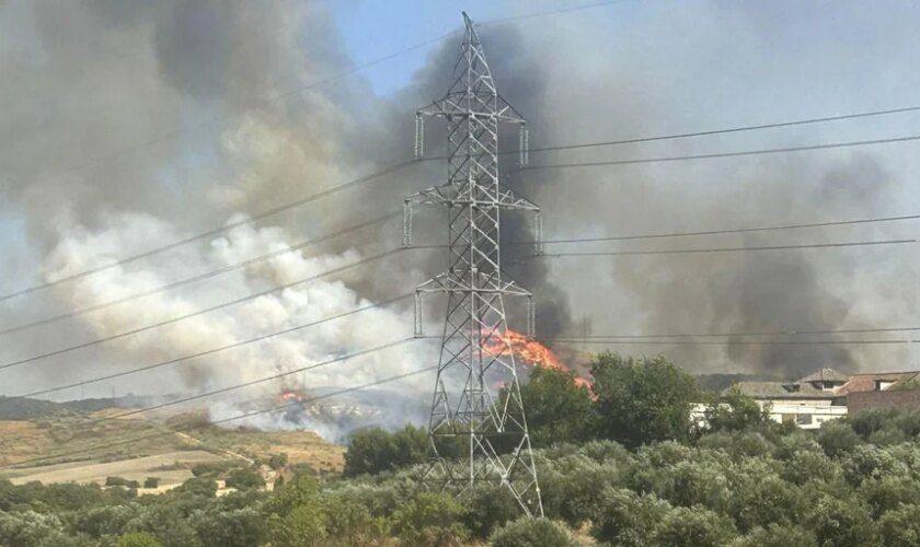 Los incendios de Loeches, El Molar y Cercedilla ponen en alerta a Madrid en agosto