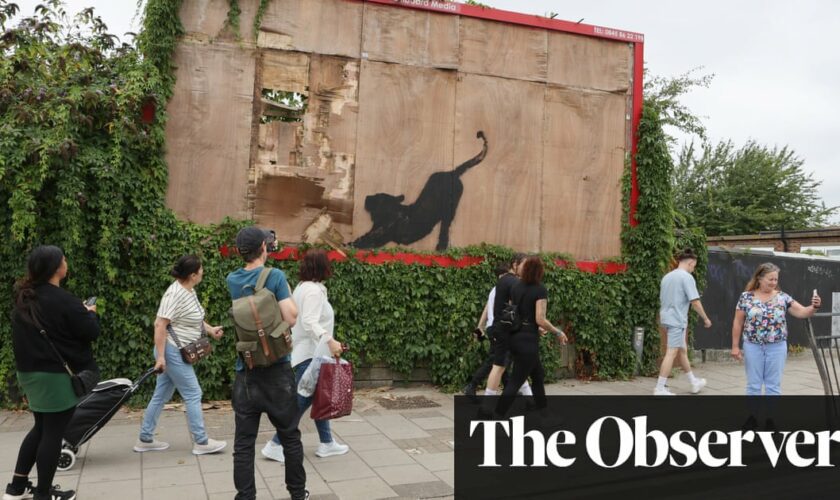 Meaning of new Banksy series revealed as latest London artwork is taken down