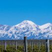 Mendoza, la soleada tierra del mejor vino argentino a los pies de los Andes