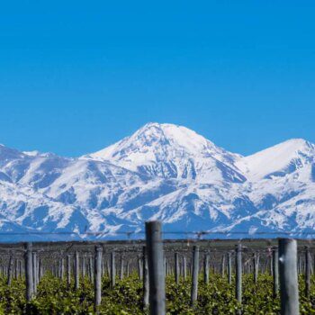 Mendoza, la soleada tierra del mejor vino argentino a los pies de los Andes