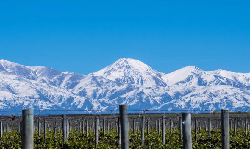 Mendoza, la soleada tierra del mejor vino argentino a los pies de los Andes