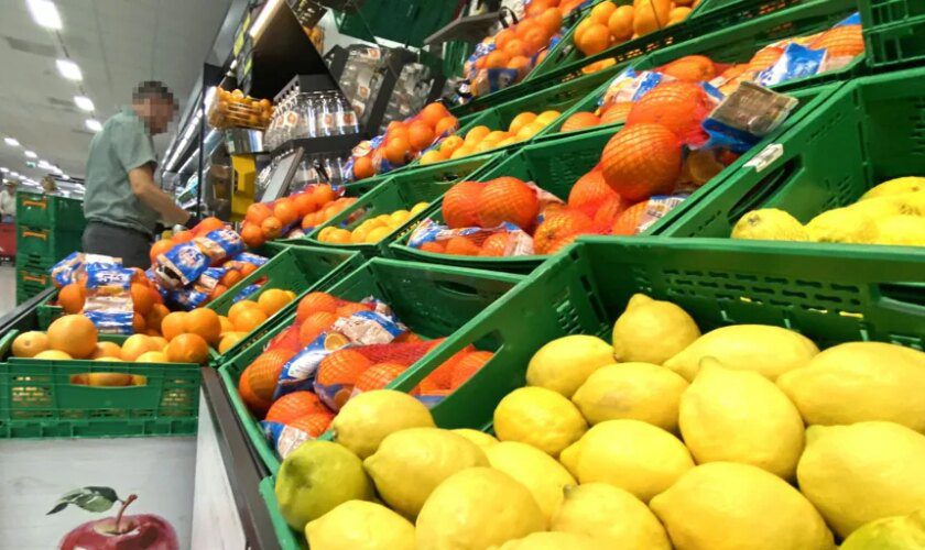 Mercadona detalla el origen de los limones que vende en sus supermercados: «Sólo importamos en verano»