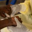 Mpox : le plus haut niveau d'alerte mondiale déclenché par l’OMS