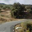 Muere un hombre de 71 años al caer con su coche por un terraplén en un pueblo de Granada