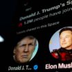 Musk und Trump tauschen im Live-Talk radikale Parolen aus