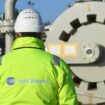 Nord Stream: Gas, politics and war