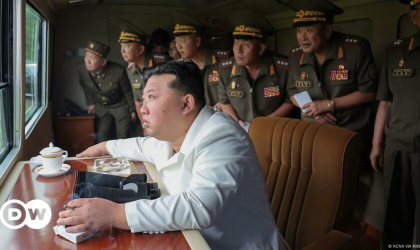 North Korea's Kim attends test-firing of new rocket launcher