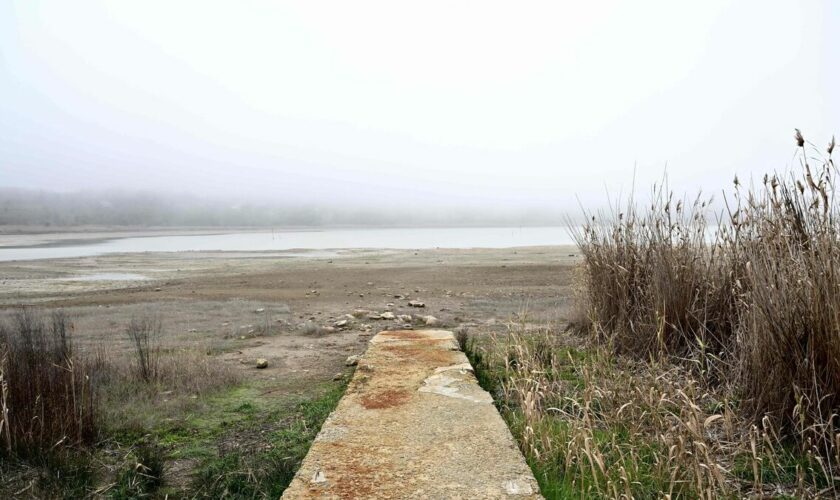 « Nous voulons de l’eau » : face à la sécheresse qui frappe la Sicile, des habitants manifestent leur colère