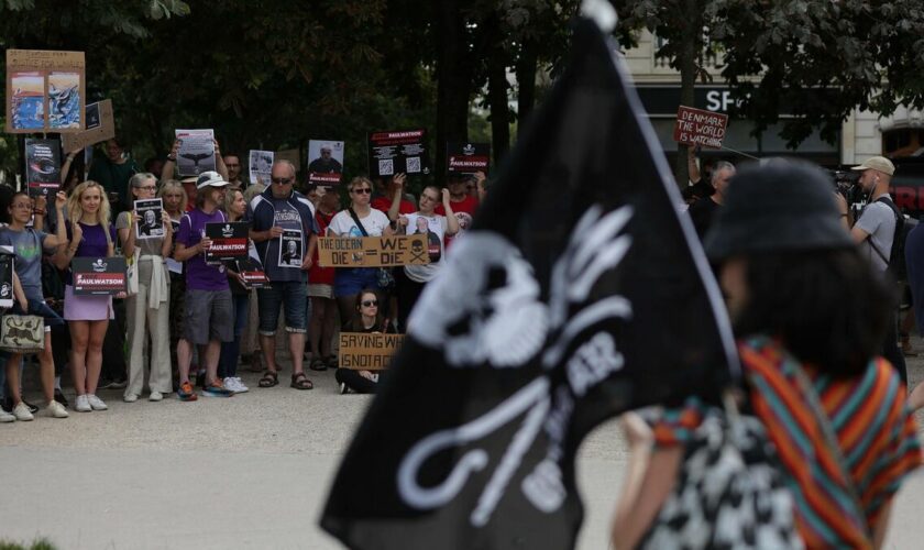 Paris : une centaine de manifestants réunis pour la libération de Paul Watson