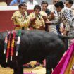 Perera sintió «un crujido»: el toro le partió dos costillas y le pegó una cornada en el escroto