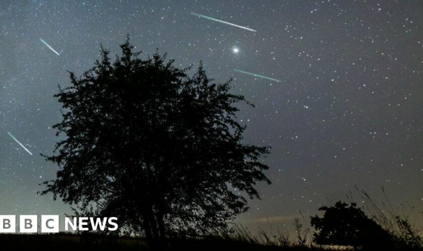 Perseid meteor shower: When and how to watch