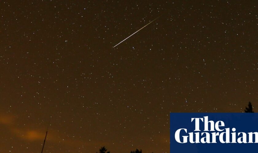 Perseid meteor shower to brighten night sky as it peaks this week