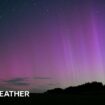 silhouette of a tree and a hill with striking image of purple and green of the aurora.  Can also see white dots of stars and a streak of a shooting star