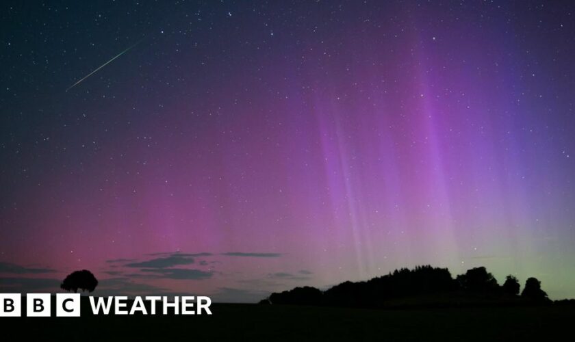 silhouette of a tree and a hill with striking image of purple and green of the aurora.  Can also see white dots of stars and a streak of a shooting star