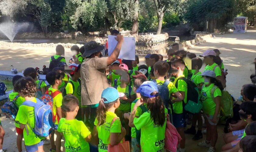 Planes con niños en Sevilla en septiembre: aventuras perfectas para disfrutar en familia