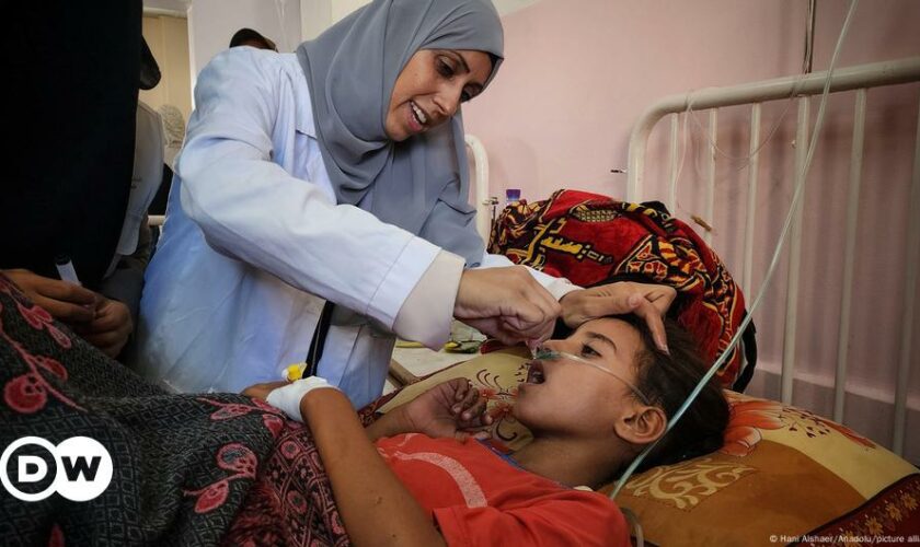 Polio vaccines arrive in Gaza after first case in 25 years