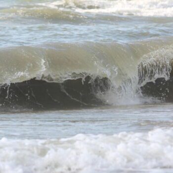 Pollution : la baignade de nouveau autorisée à Deauville et Trouville, ainsi que sur le littoral de la Somme