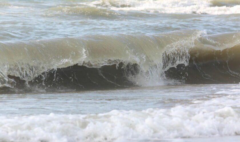 Pollution : la baignade de nouveau autorisée à Deauville et Trouville, ainsi que sur le littoral de la Somme