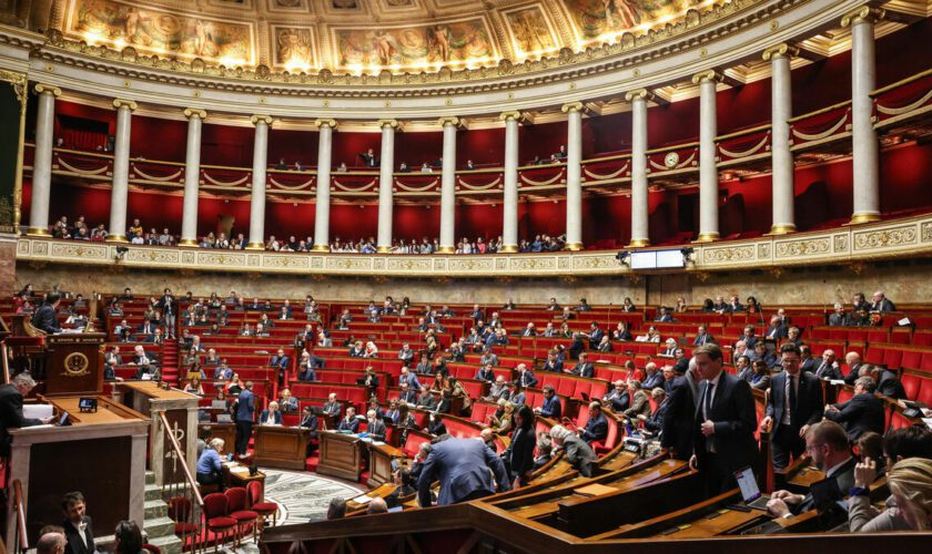 « Quand vous perdez 4 500 euros net par mois, ça fait un trou » : ces ex-députés qui peinent à trouver du boulot