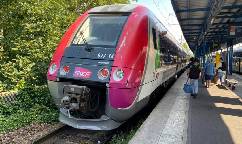 RER E, RER D, ligne P… Les travaux d’été sont de retour, des perturbations à prévoir