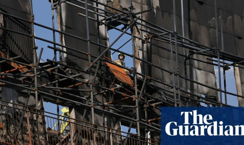 Removal of unsafe cladding from buildings ‘too slow’, says Angela Rayner