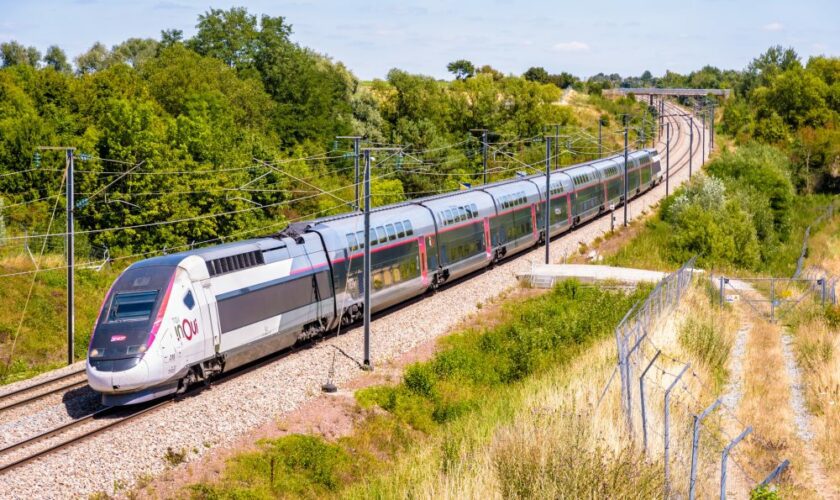 SNCF – Les voyageurs des TGV désormais limités à deux enfants qui pleurent