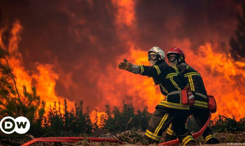 Schwere Waldbrände: Wie will sie die EU verhindern?