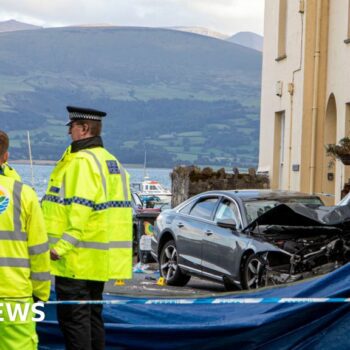 Two pedestrians and driver dead after car crash