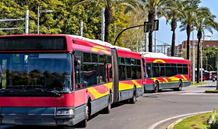 Un conductor de Tussam revela por qué los autobuses no esperan: «Ni aunque venga arrastrándose»