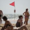 « Une plage sur cinq est régulièrement polluée par des bactéries » : drapeau rouge pour les eaux de baignade