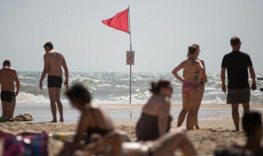 « Une plage sur cinq est régulièrement polluée par des bactéries » : drapeau rouge pour les eaux de baignade