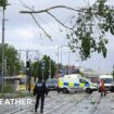 Emergency workers removing fallen tree branches from tram lines