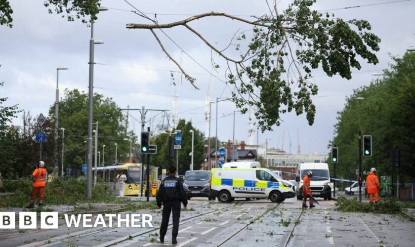 Emergency workers removing fallen tree branches from tram lines