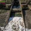 Water companies face £168m fines over sewage spills