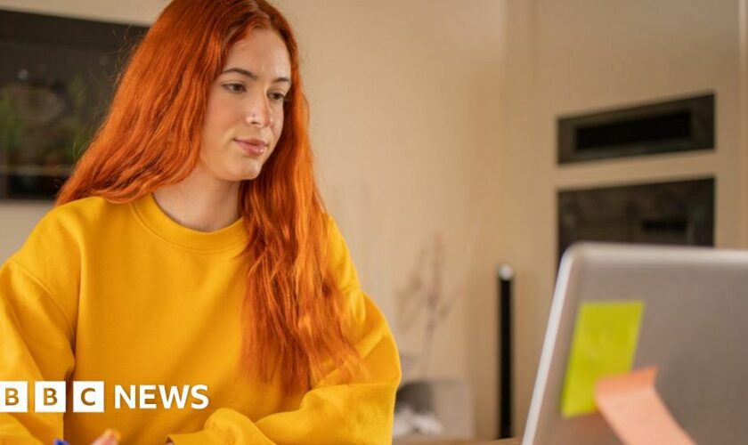 A student looking at her computer