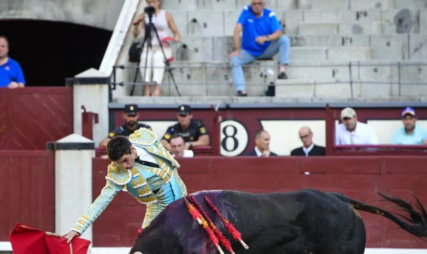 Yo también quería ser turista en Las Ventas