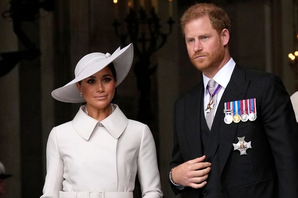 Meghan Markle and Prince Harry's act deemed 'beyond parody' by Royal Family