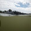 Paris 2024 Olympics - Triathlon - Alexander III Bridge, Paris, France - July 28, 2024. General view of the Eiffel Tower and the River Seine taken from the Triathlon start after training was cancelled amid water quality concerns REUTERS/Kai Pfaffenbach