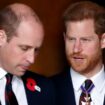 Prince William to swerve awkward run-in with Harry as he 'avoids major royal event'