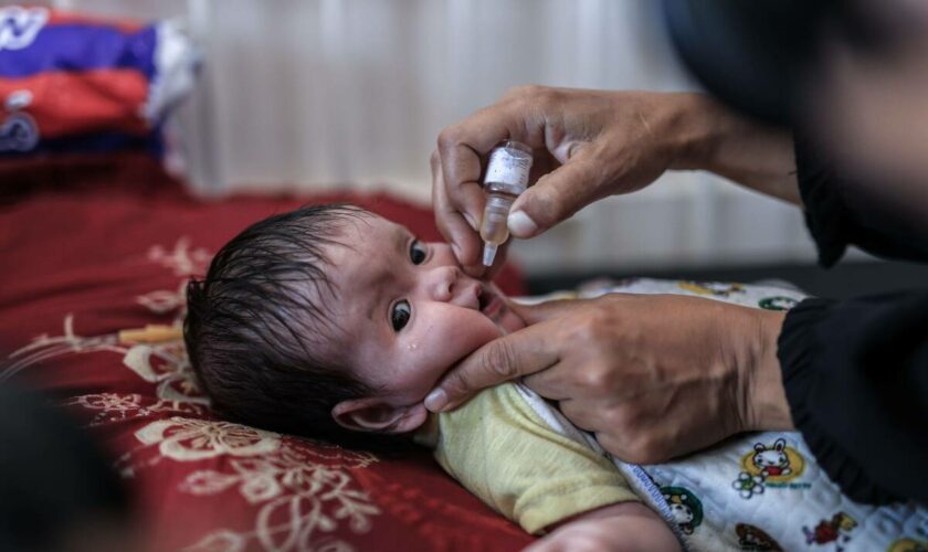 Guerre à Gaza : la campagne de vaccination anti-polio démarre ce dimanche dans le centre du territoire palestinien