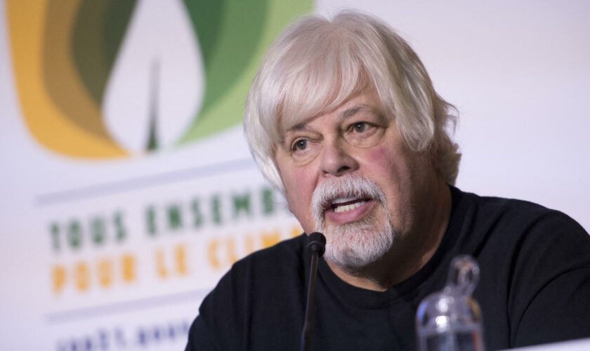 Paul Watson en prison au Groenland : la vie enfermée du fondateur de Sea Shepherd avant une décision judiciaire clé