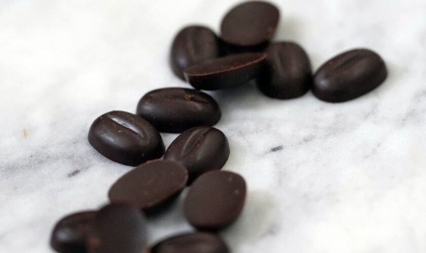 The scientists making cocoa in a laboratory to meet world’s demand for chocolate